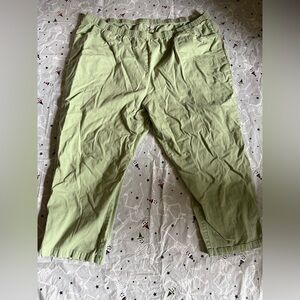 Woman Within Plus Size Pants Green Size 42W